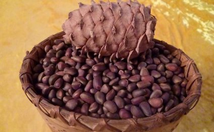 Кедровые орехи по договорной цене в Астане, Казахстан