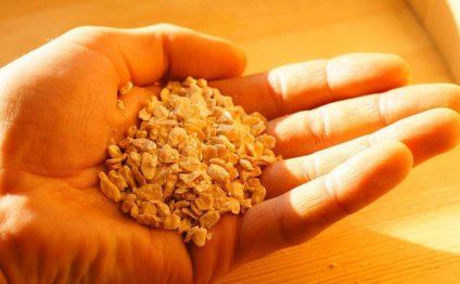 Жмых кедрового ореха – состав, полезные свойства и применение