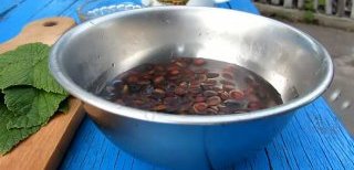 рецепт кедровой настойки в домашних условиях как приготовить настойку из орехов кедра дома