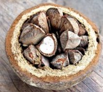польза бразильского ореха для здоровья