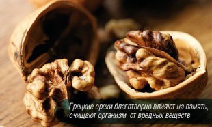 Польза грецких орехов